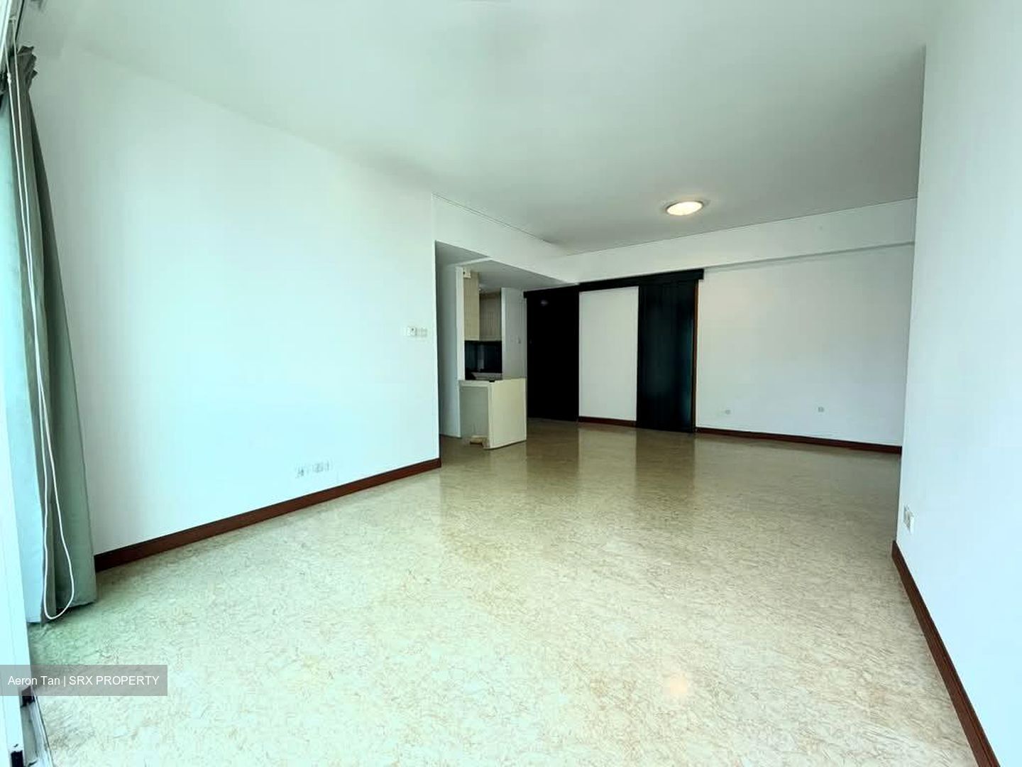 Butterworth 8 (D15), Condominium #595866961